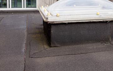 disadvantages of Alne Station flat roofs